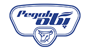 Pegah - پگاه