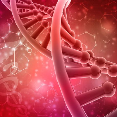 تأثیر تنظیم هورمونها بر زیبایی و سلامتی بدن