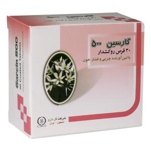 قرص گارسین 500 میلی گرم گل دارو 30 عددی