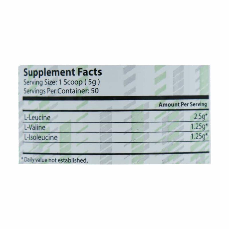 پودر بی سی ای ای 2:1:1 اس ان ان آمریکا طعم لیمویی 250 گرمی